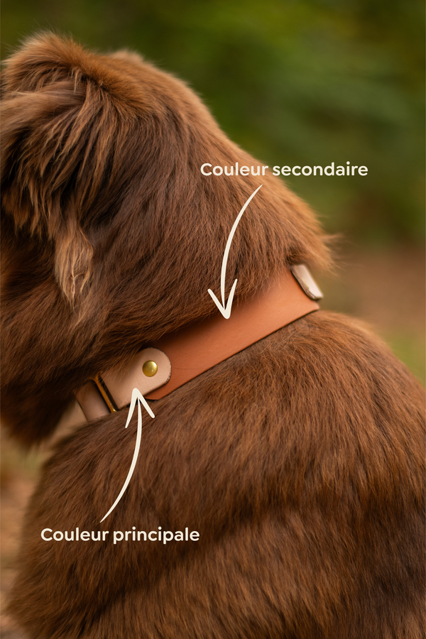 Collier Biothane “NOMADE”