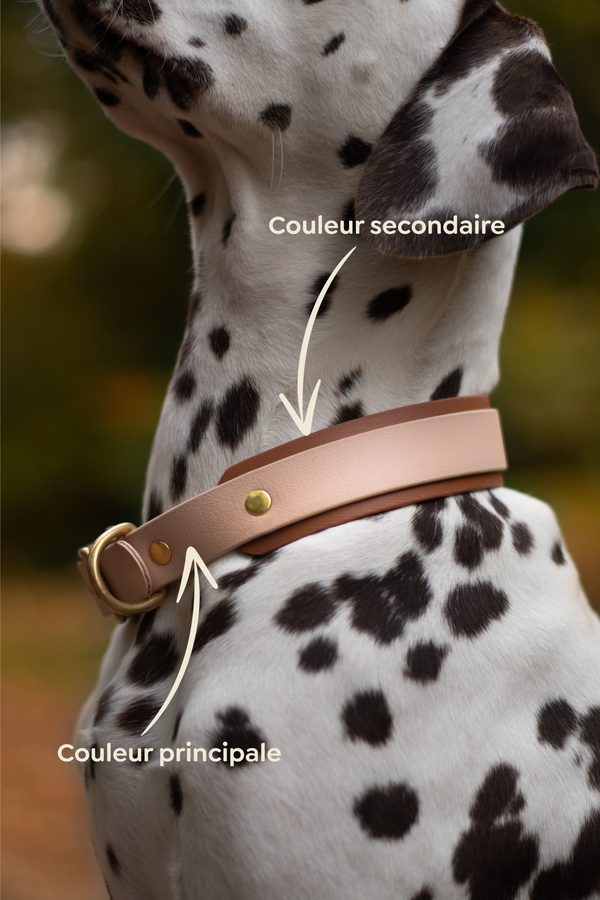 Collier Biothane “ESCAPE”