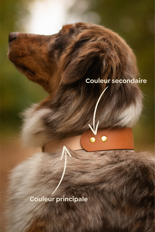 Collier Biothane “TRAVEL”