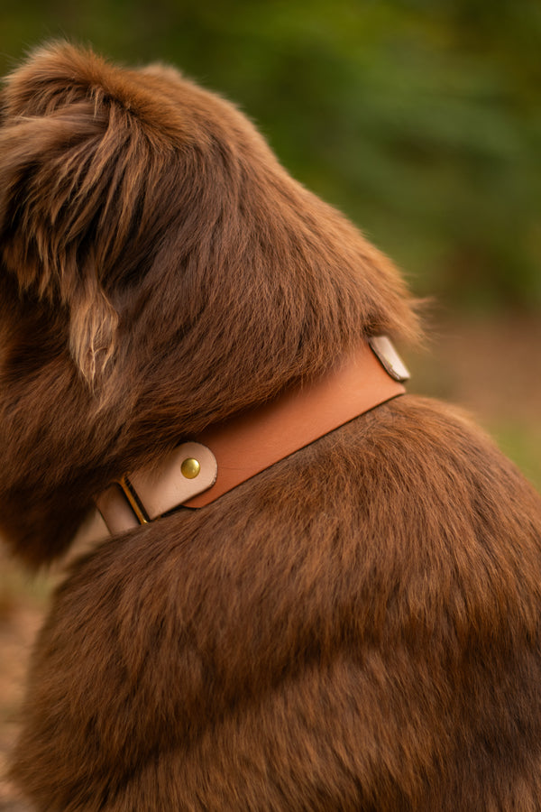 Collier Biothane “NOMADE”