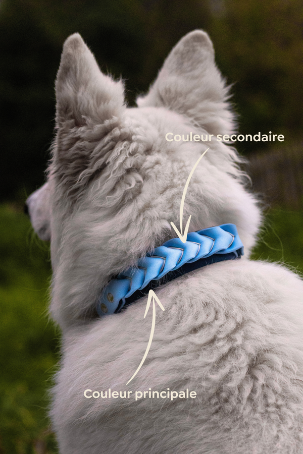 Collier Biothane “CROWN”