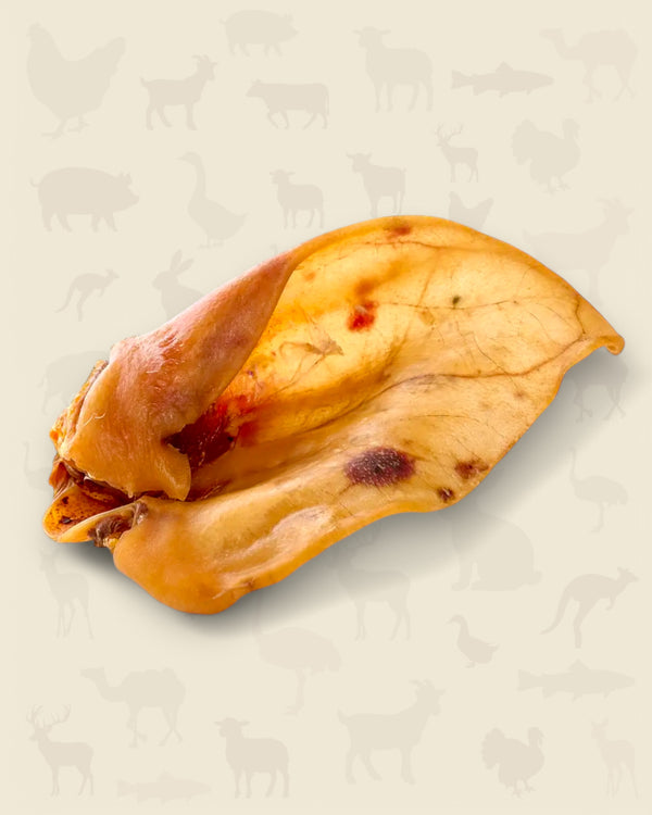 Oreille de cochon XXL