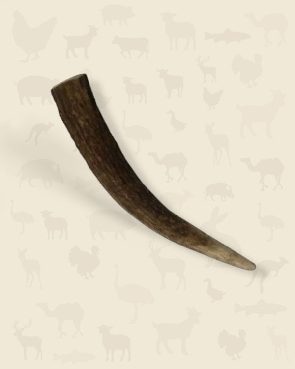 Bois de cerf