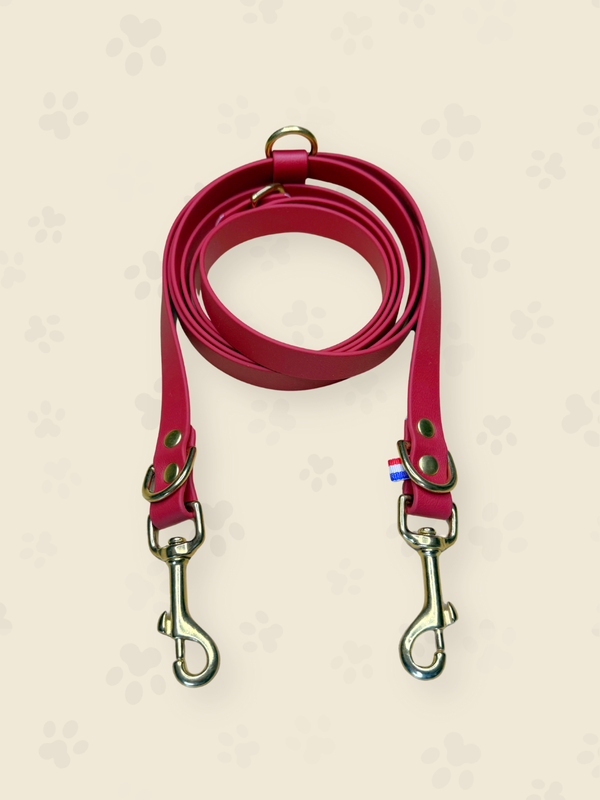 Laisse Biothane "FUJI" (3 points + mains libres)