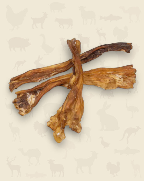 Tendon d’Achille de bœuf 100 grammes