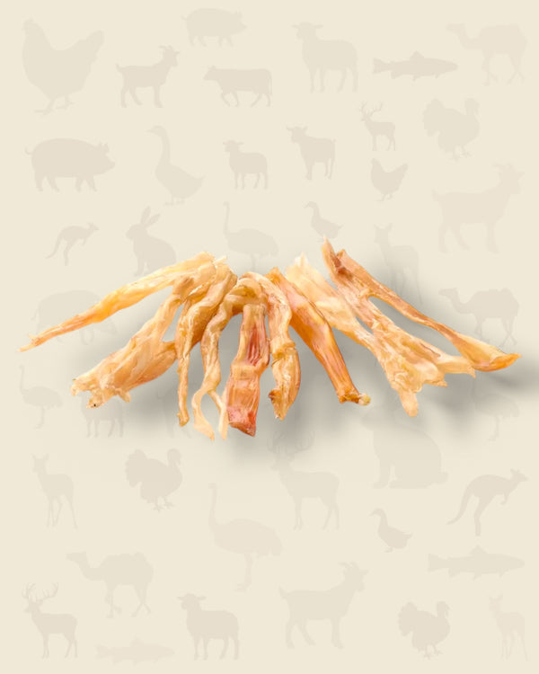 Tendon d'Achille de cerf (100 grammes)