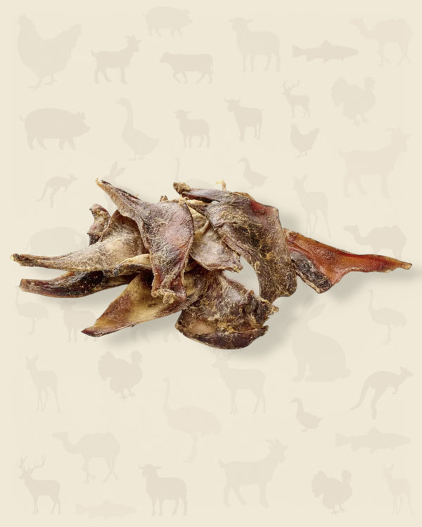 Scapula de bœuf (petit)