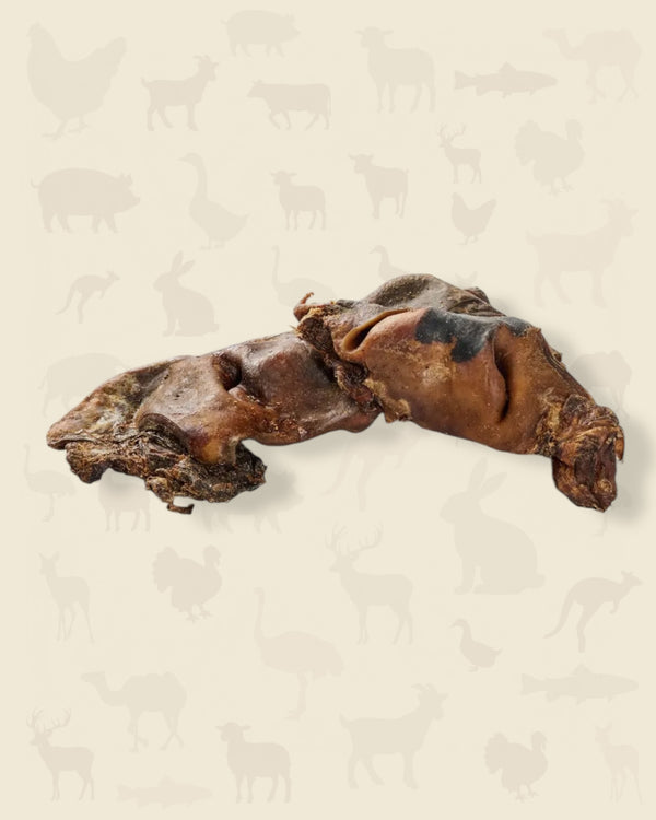 Nez de bœuf