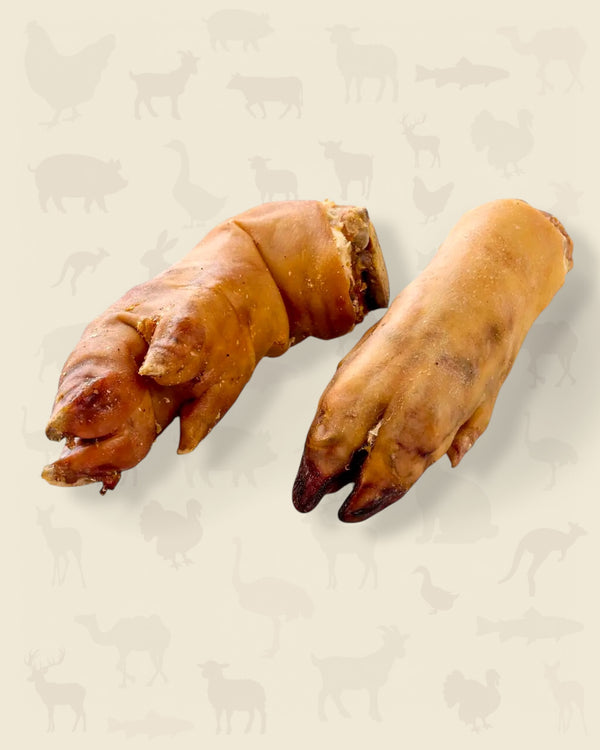 Pied de cochon