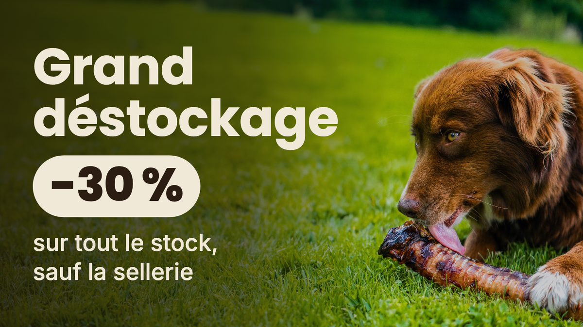 Grand déstockage : -30 % sur tout le stock, sauf la sellerie